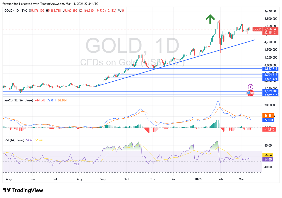 Oro Enfrenta Presión Pese al Alza del Dólar 12/03/2026