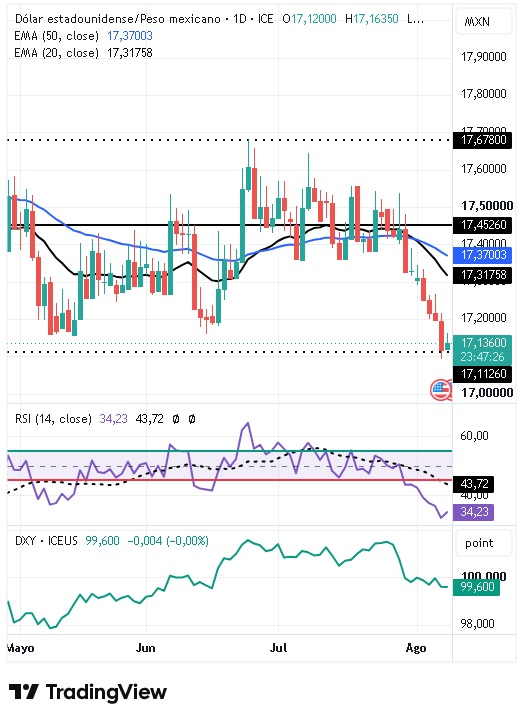 Gráfico Diario del par USD/MXN 10/08/2026 Gráfico Diario del par USD/MXN 10/08/2026