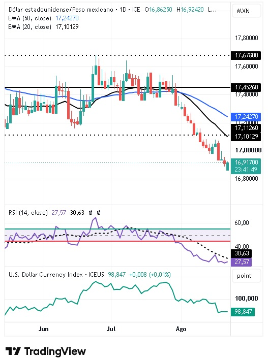 Gráfico Diario del par USD/MXN 24/08/2026