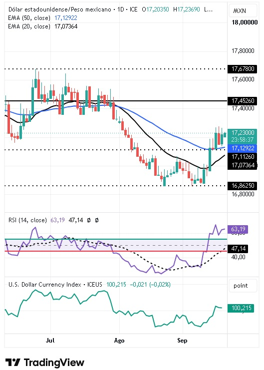 Gráfico diario del par USD/MXN