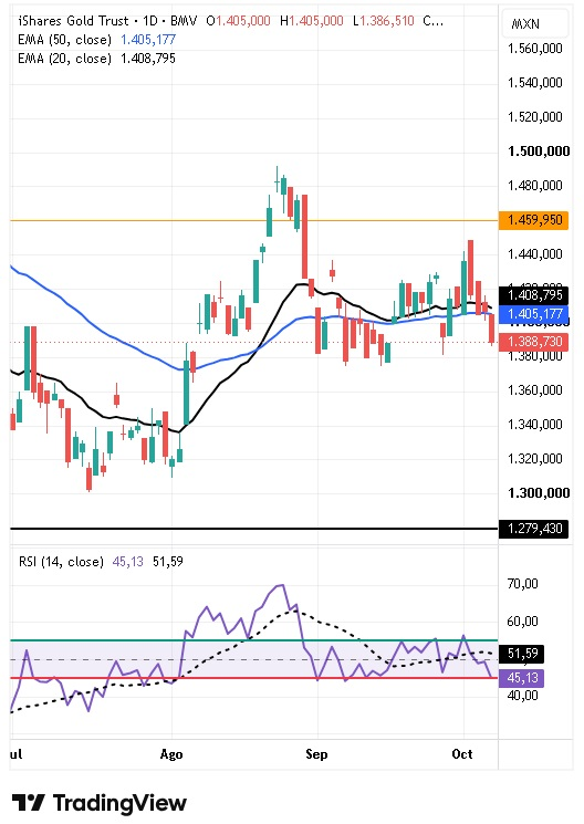 ETF iShares Gold Trust Fund 08/10/2026 ETF iShares Gold Trust Fund 08/10/2026