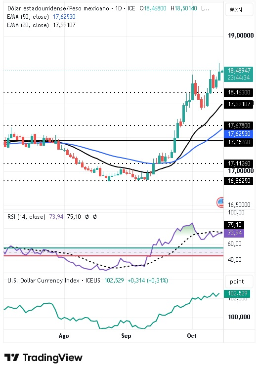 Par USD/MXN 15/10/2026 Par USD/MXN 15/10/2026