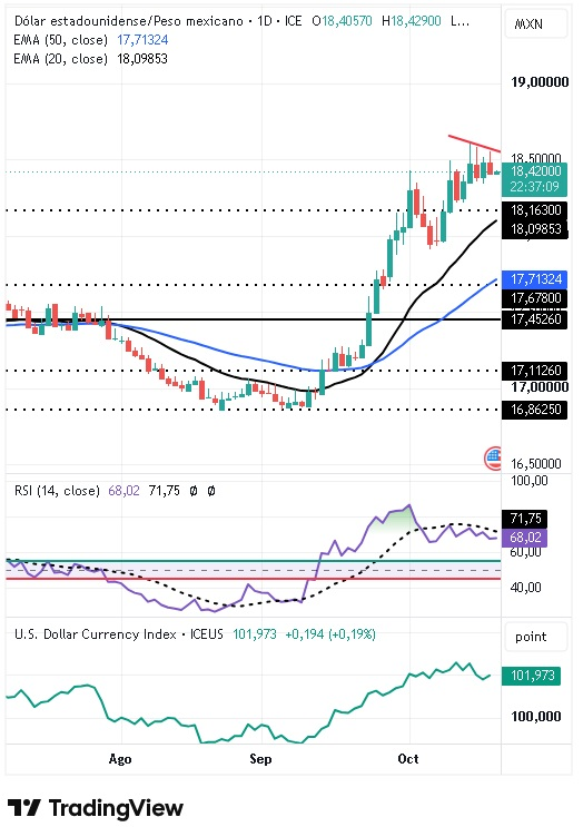 Par USD/MXN 20/10/2026 Par USD/MXN 20/10/2026