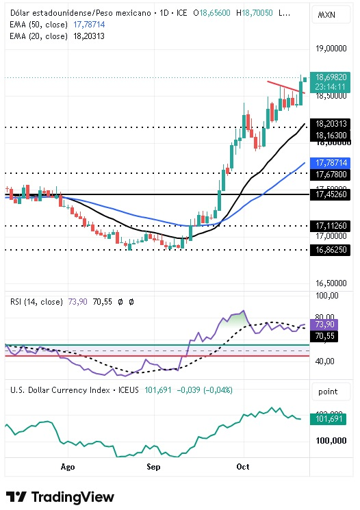 Par USD/MXN 22/10/2026 Par USD/MXN 22/10/2026