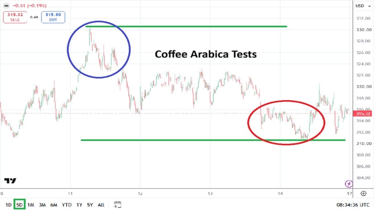 El café arábica cerró este fin de semana cerca de los 315,32 dólares
